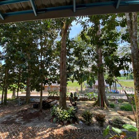 Homestay Dusun Ana Balun Slim River Esterno foto